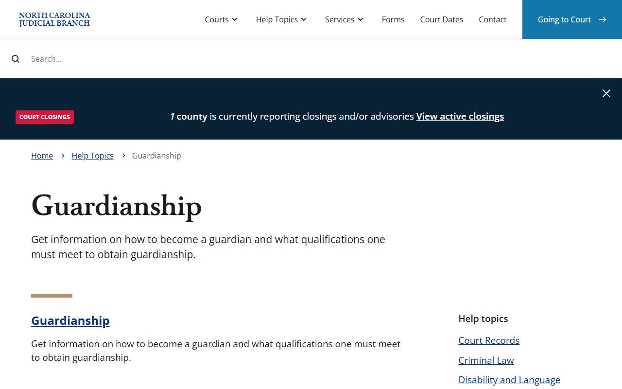 Forsyth County probate records guardianship help topic