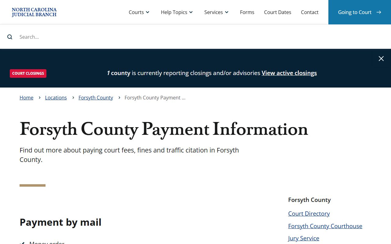 Forsyth County traffic court records payment information page